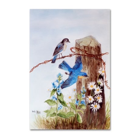 Arie Reinhardt Taylor 'Bluebirds And Daisies' Canvas Art,16x24
